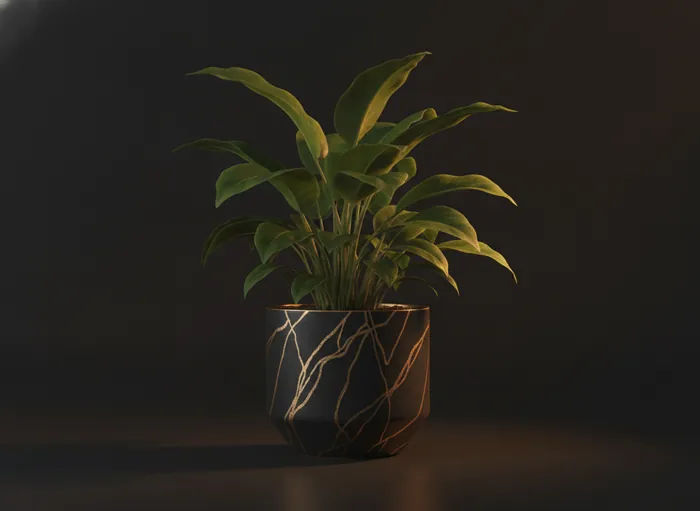 Zimmerpflanze im Design-Topf